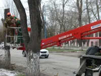 Новости » Общество: В Керчи продолжают борьбу с аварийными деревьями. Работа ведется по плану