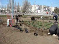 Новости » Общество: Клумба на транспортном кольце у автовокзала скоро зазеленеет