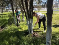 В Керчи прошел субботник