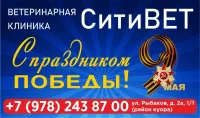 С праздником Великой Победы: поздравление от ветклиники СитиВет