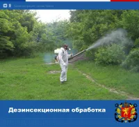 Завтра в Молодежном парке будут уничтожать клопов