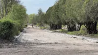 Новости » Общество: В Приморском парке начали устанавливать бордюры