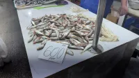На выходных в Керчи продавали барабулю по 600 рублей