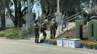 Клумбы и вазоны в Керчи заполняют цветочной рассадой