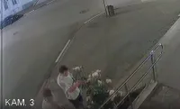 Новости » Криминал и ЧП: Два романтика в Керчи обломали огромной куст с розой около библиотеки
