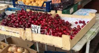 Новости » Экология: В Крыму из-за заморозков ожидается снижение урожая черешни и орехов на 15 процентов