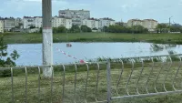 Новости » Общество: В Керчи продолжается обработка зеленых зон от клещей