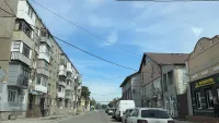 Новости » Экология: На Шлагбаумской спили девять деревьев