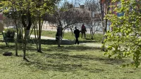 Новости » Общество: Покос травы в Керчи осуществляется ежедневно
