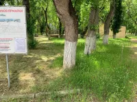 Новости » Общество: Зеленая зона городского парка Керчи не готова к Дню защиты детей