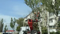 Новости » Коммуналка: Пилят тополя: на Гайдара перекрыли часть дороги