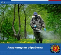 С 14 мая по 16 мая в Керчи обработают от клещей все общественные зоны