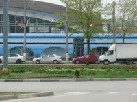 Новости » Общество: В Керчи завершается озеленение транспортного кольца на автовокзале
