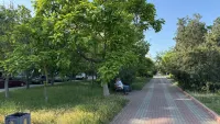 Новости » Общество: Газоны на набережной Керчи заросли травой