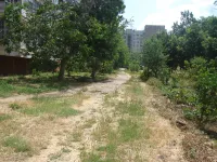 Дорожку за МКД по Генерала Петрова, 16 в Керчи просят восстановить