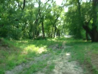 Дорога по улице Энгельса в Керчи давно требует внимания
