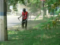 Новости » Общество: Быстро растущая трава керченских коммунальщиков без работы не оставит