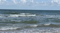 Новости » Общество: В Крыму проверили качество морской воды