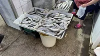 В рыбном корпусе на центральном рынке в Керчи сегодня было так