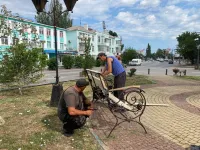 Новости » Общество: Сквер у генеалогического дерева приводят в порядок