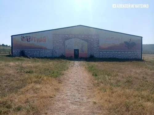 Новости » Криминал и ЧП: Под Керчью на страусиной ферме нашли опасный батут