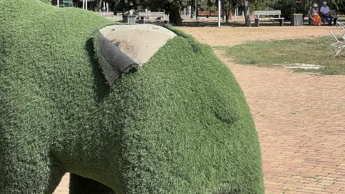 Новости » Общество: Красивое место - без должного ухода: что происходит в парке Гагарина?