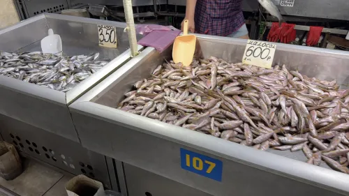 Новости » Общество: В рыбном корпусе на центральном рынке в Керчи сегодня было так