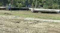 Новости » Коммуналка: Грязь вместо тротуара: керчане жалуются на ремонтные работы на улице Ворошилова
