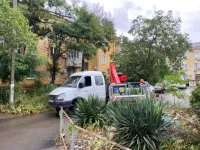 Новости » Общество: Сегодня с 5 часов утра керченский РЭС устраняет аварии на своих сетях