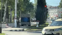 Коммунальщики в Керчи ежедневно убирают листву и поливают цветы