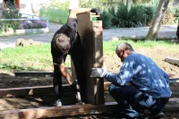 Новости » Общество: Во дворах на Комарова скоро появится новая детская площадка