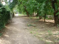 Новости » Общество: Дорога по улице Энгельса в Керчи: полное забвение