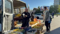 Новости » Общество: В Керчи продолжают бороться с незаконной торговлей