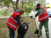 Новости » Общество: Керчь каждый день убирают  от опавших листьев и мелкого мусора