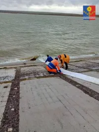 Новости » Экономика » Экология: В Ленинском районе в водохранилище выпустили больше 50 тысяч мальков белого толстолобика