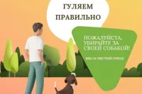 Новости » Общество: Керчанам напоминают о местах выгула собак