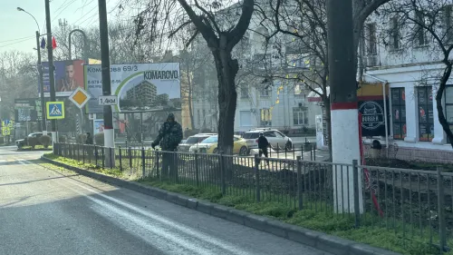 В Керчи косят траву вдоль дорог