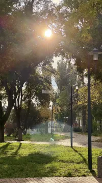 Выходные порадуют крымчан теплом