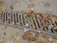 Новости » Общество: Ливневки по Козлова в Керчи до отказа забиты листвой