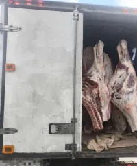 Новости » Криминал и ЧП: В Крым пытались ввезти более 450 кг опасной говядины