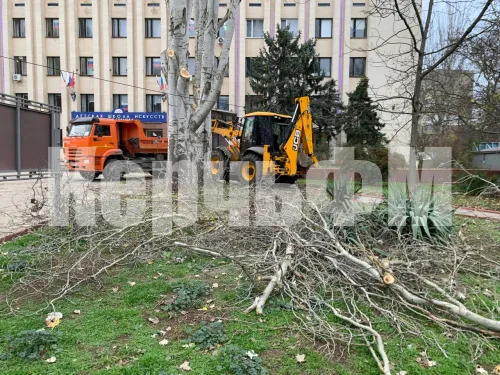 От Школы искусств им. Р. Сердюка в Керчи вывезли четыре Камаза спиленных веток