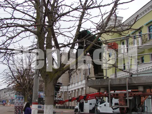 Деревья в центре Керчи украшают елочными гирляндами