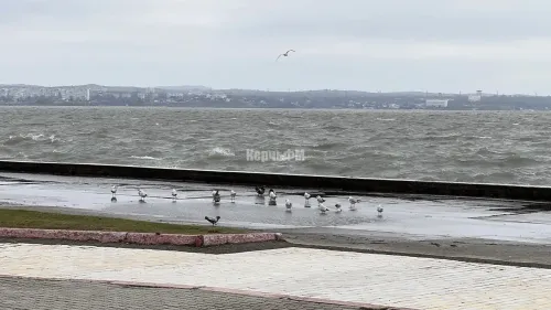 Похолодание без морозов придет в Крым на неделе