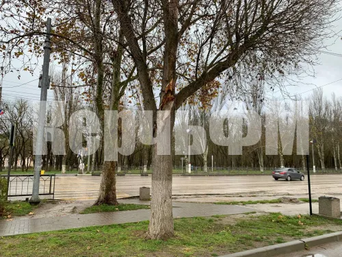 Над парковкой у здания МФЦ в Керчи надломился сук дерева