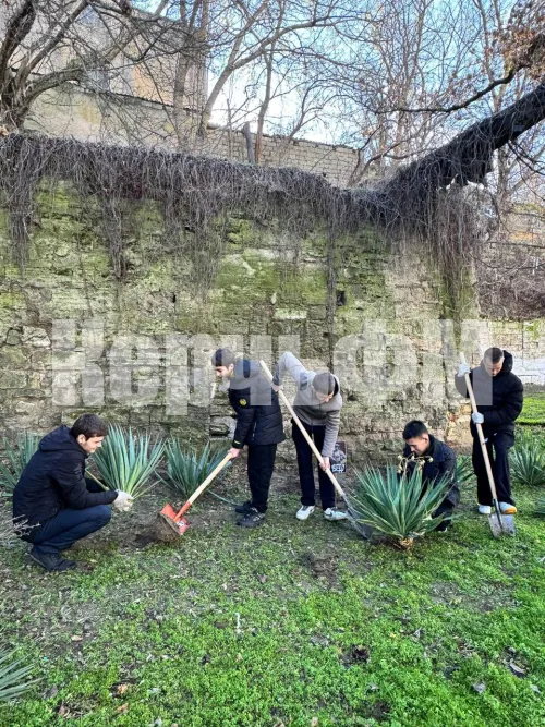 У школы №9 в Керчи заложили Аллею Памяти