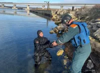 Новости » Общество: В Керчи водолазы-пиротехники МЧС обезвредили мину времен ВОВ