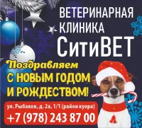 Бизнес новости: Поздравление с Новым годом от ветеринарной клиники "Ситивет" 