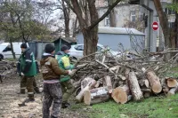 Новости » Криминал и ЧП: В Керчи идут работы по ликвидации последствий сильного ветра