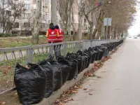Новости » Общество: В Керчи продолжают чистить улицы от опавшей листвы