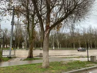 Над парковкой у здания МФЦ в Керчи надломился сук дерева